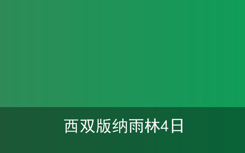 西双版纳热带雨林亲子4日游