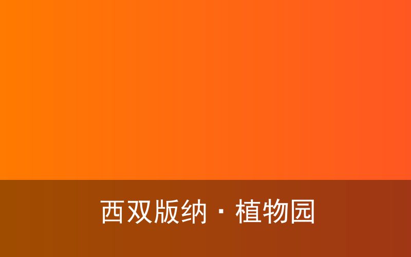 迪庆